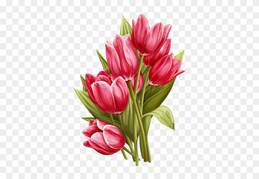 Png Lale Resimleri, Tulip Png Pictures - Tulips Png #464659
