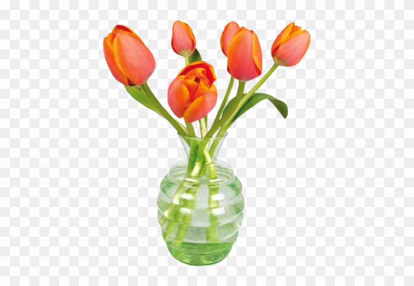 Png Lale Resimleri, Tulip Png Pictures - Flat Flowers Raamstickers - Tulp Oranje #464676