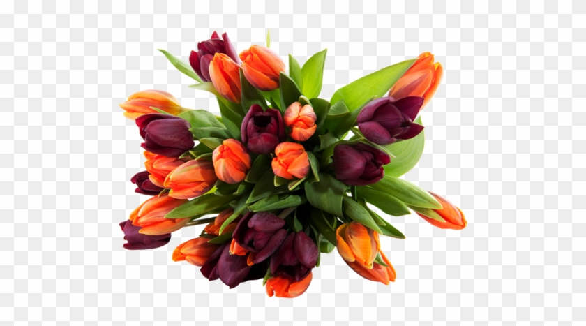 Png Lale Resimleri, Tulip Png Pictures - Flower Bouquet Image High Resolution #464677