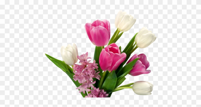 Png Lale, Png Tulips, Png Lale Resimleri, Png Tulips - Buke Of Flower Png #464714