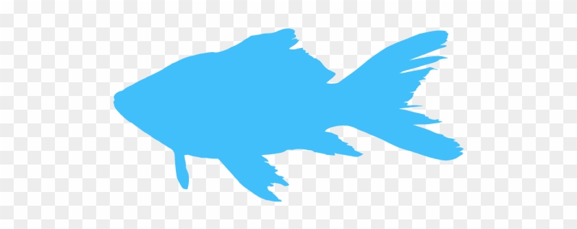 Navy Blue Fish #464749