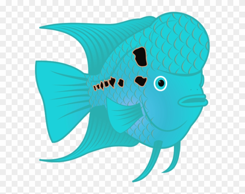 Flowerhorn Fish - Flower Horn Fish Clip Art #464805