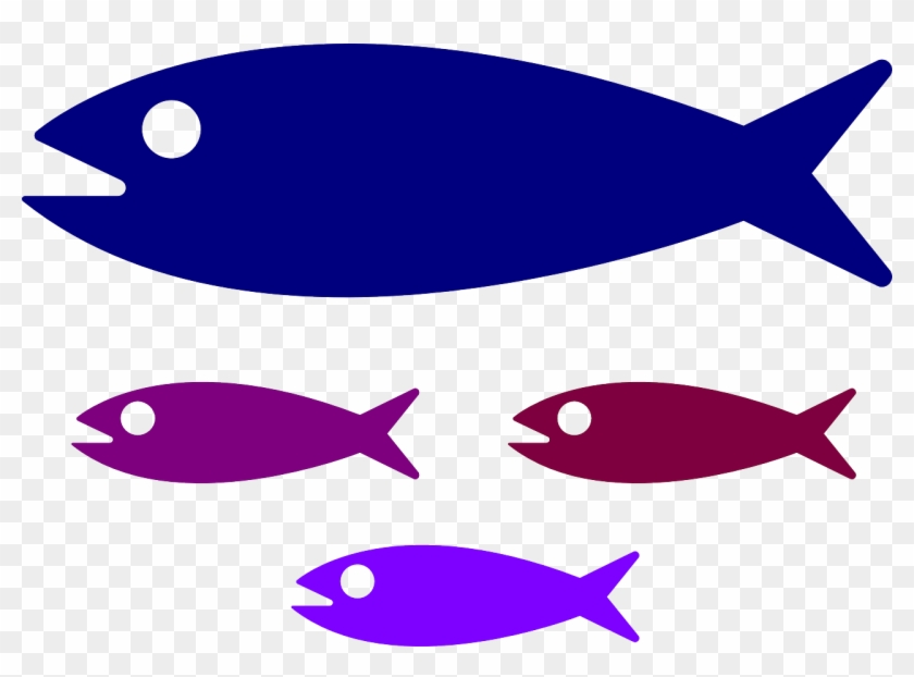 Shoal Fish Fish Family Water Png Image - Small Medium Large Fish #464821