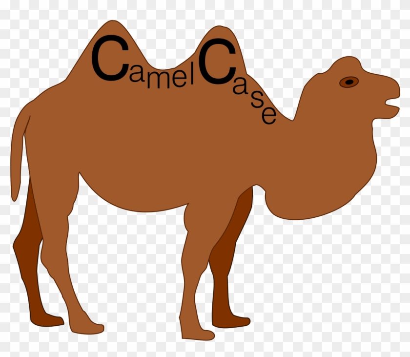 Camel Case - Camel Case In Java #465200