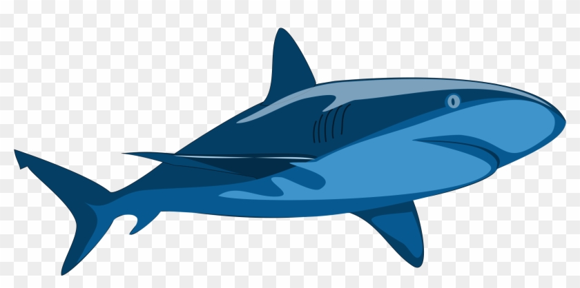 Blue Fish Clipart 24, Buy Clip Art - Vector Clip Art Shark #465270