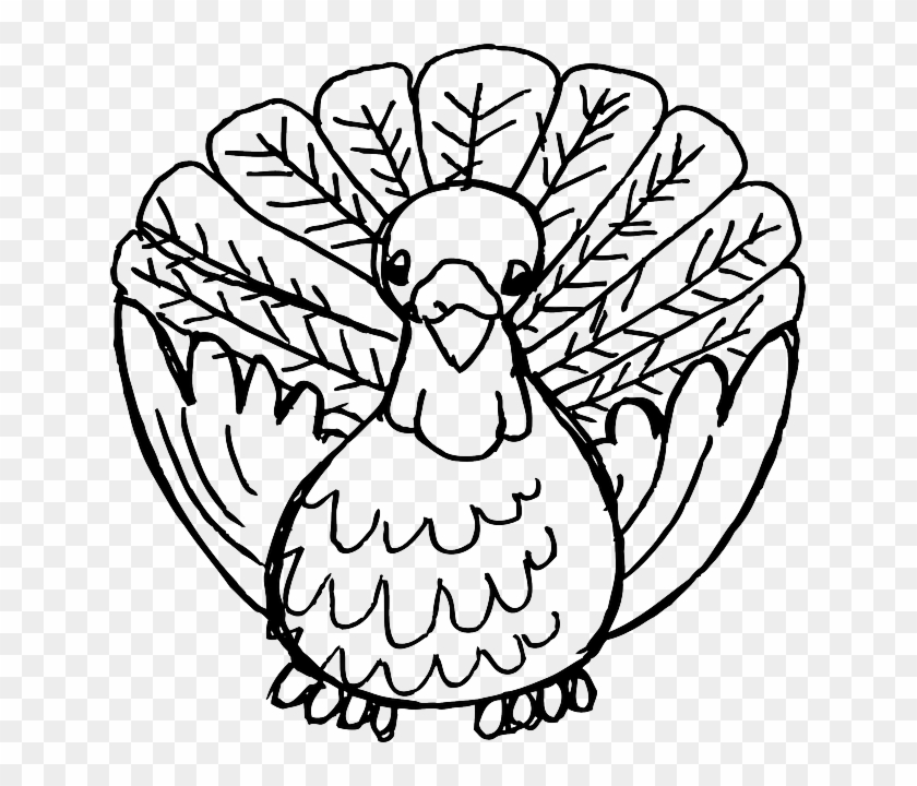 Animal, Beak, Bird, Domestic, Feather, Meat - Cartoon Turkey Shower Curtain #465313