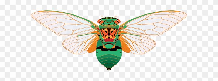 To Me, Australian Christmases Are About Cicadas And - Illustration #465518