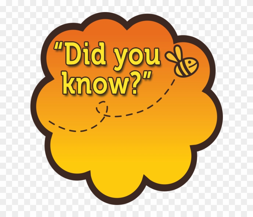 Hover Over Each 'did You Know' Below To Find Out 'if - Hover Over Each 'did You Know' Below To Find Out 'if #465911