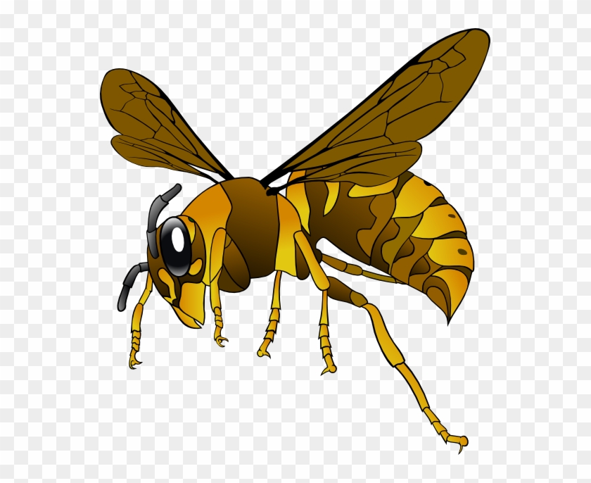Bees Clipart Lebah - Hornet Clipart #466016