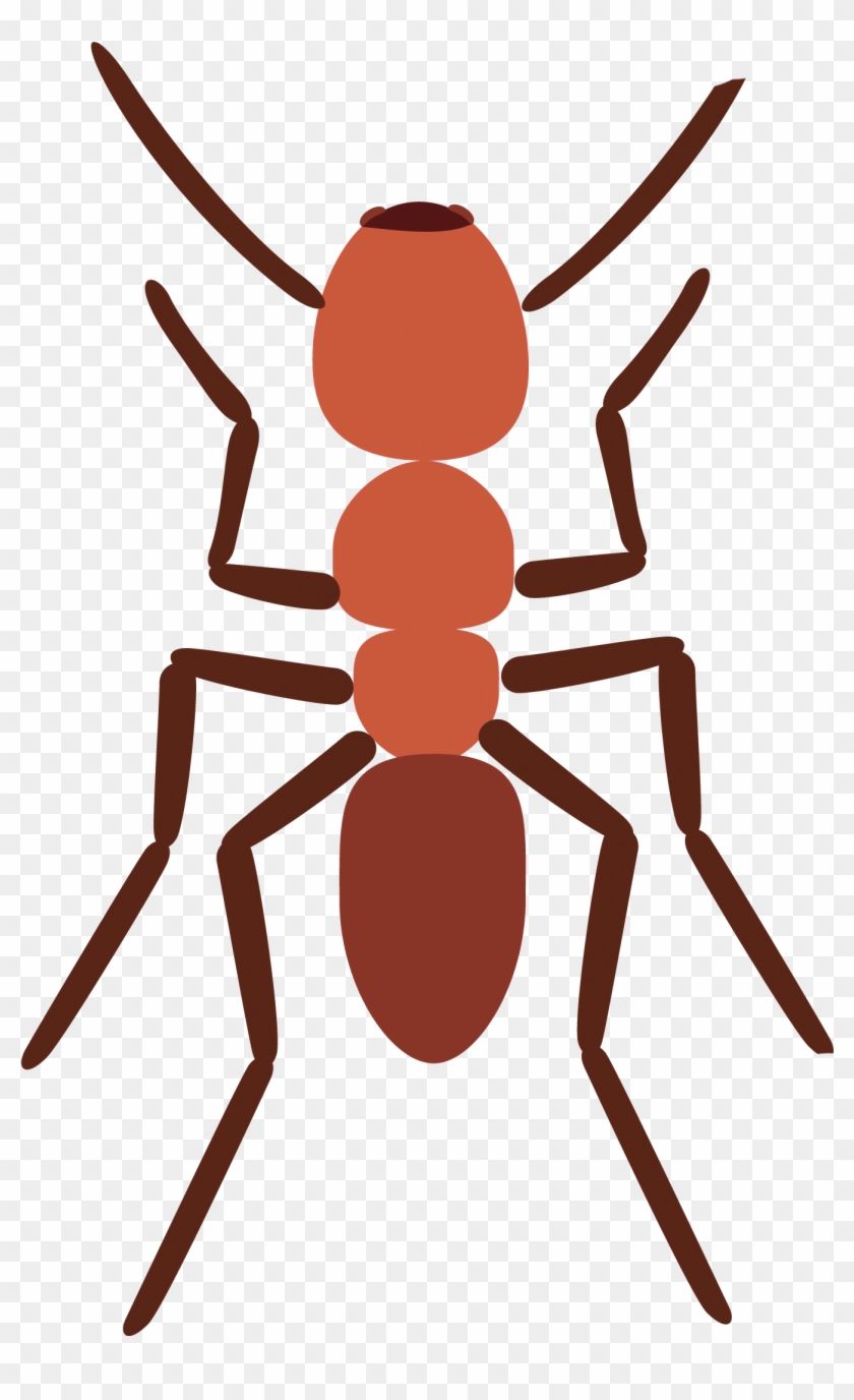 Scout Ant Clipart, Explore Pictures - Ant #466293