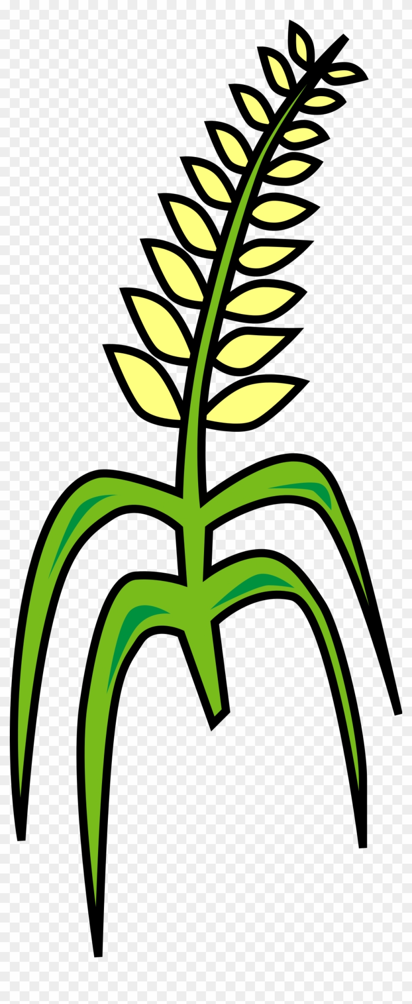 Grain Clipart - Grain Clipart #466297