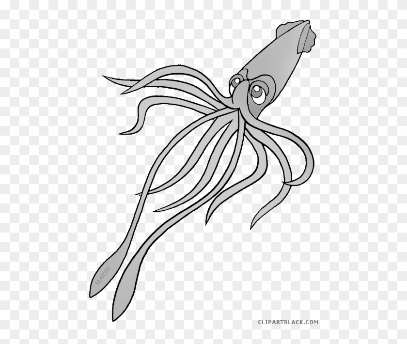 Squid Animal Free Black White Clipart Images Clipartblack - Illustration #466410