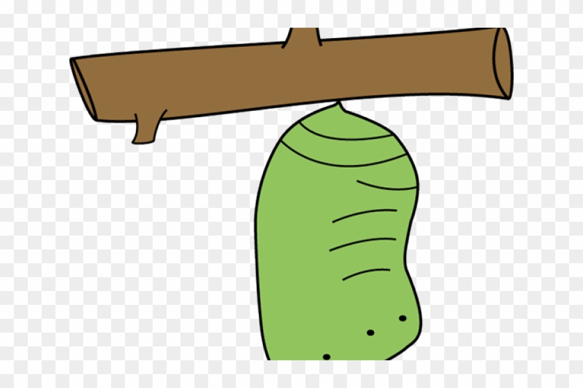 Chrysalis Cliparts - Cocoon Clipart #466465
