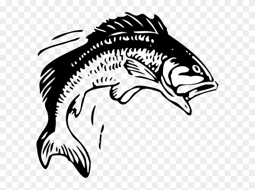 Free Vector Jumping Fish Clip Art - Group 11 Rugby League #466941