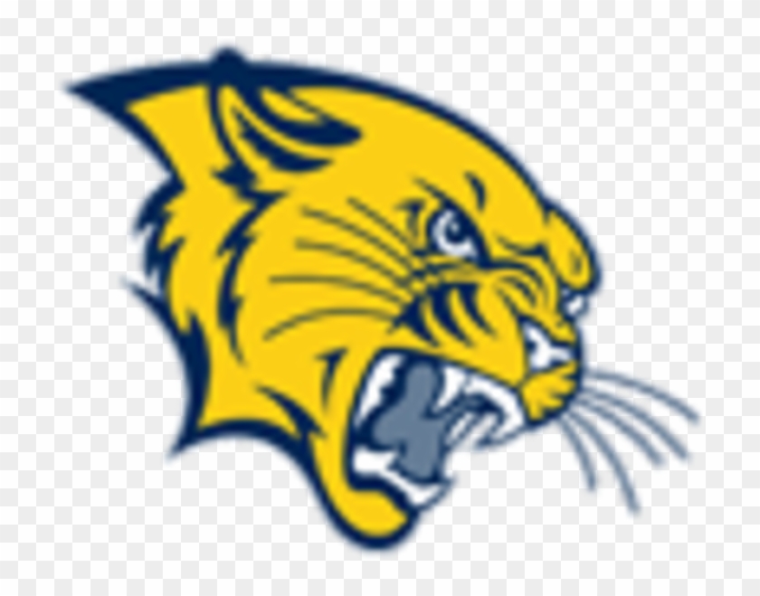 Crenshaw High School - Crenshaw High School Mascot #467236