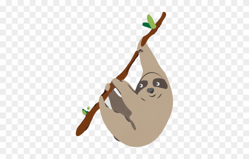 Sloth - Oso Perezoso Clipart Png #467371