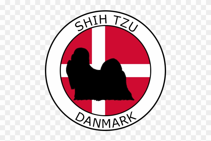 Årets Shih Tzu Konkurrence - Taekwondo #467583