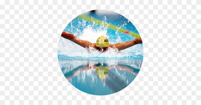 Sport Acquatici - Butterfly Swim Stroke Gif #467830