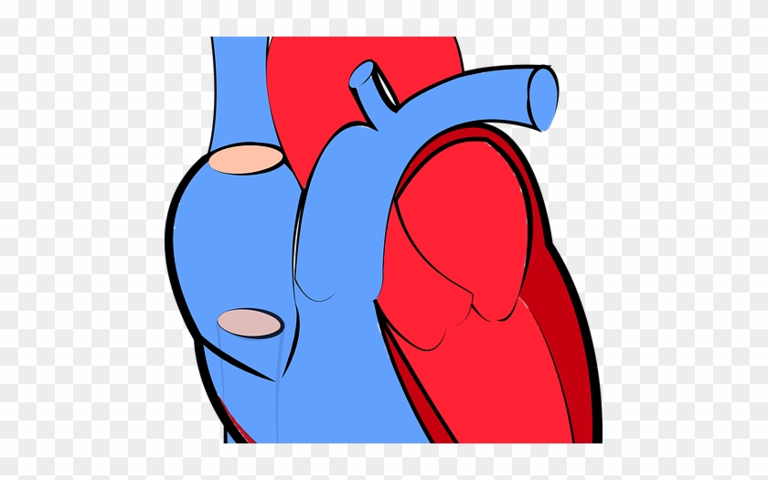 Chronic Obstructive Pulmonary Disease Therapeutics - Heart Disease Symptom Blocking Immune Cell Migration #468126