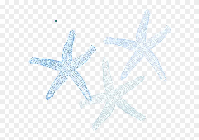 Blue Star Fish Clip Art - Starfish #468333