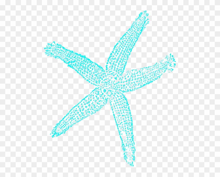 Blue - Starfish - Drawing - Png Starfish #468337