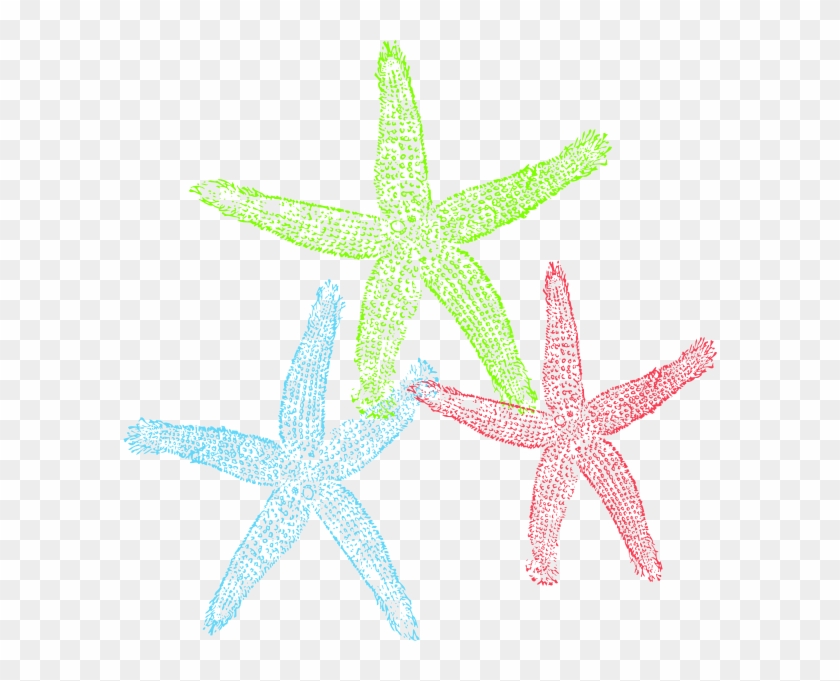 Starfish Public Domain Clipart - Free Starfish Clip Art #468340