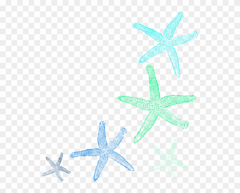 Starfish Prints Clip Art - Star Fish Clip Art Free #468344