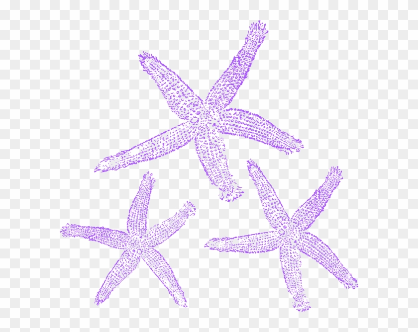 Marine Clipart Purple Starfish - Private Listing For Pam 2 Pair Custom Angela Style #468347