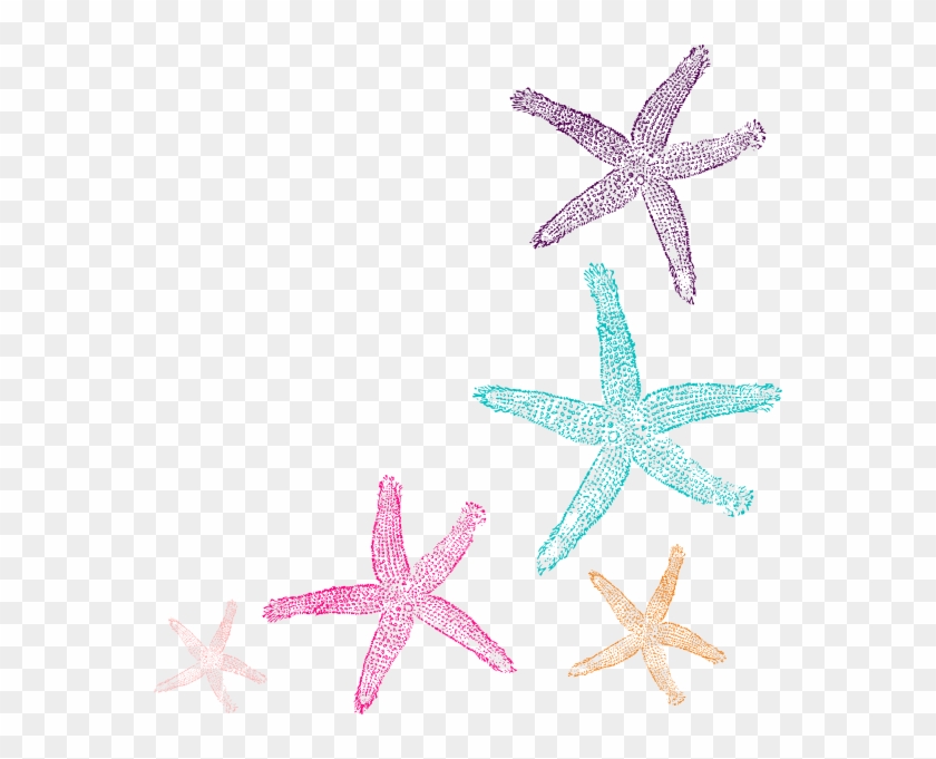 Clip Art, Page Border, And Vector Graphics - Starfish Vector Png Transparent #468351