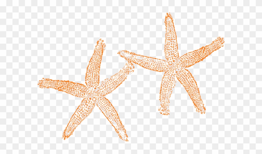 Starfish Clipart Orange Starfish - Beach Wedding Welcome Bag #468354