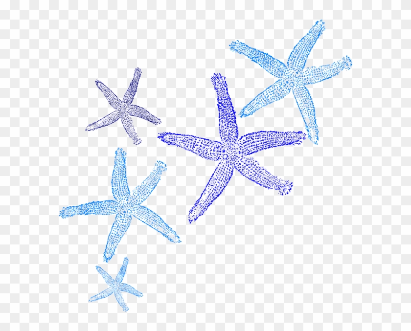 Featured image of post The Best 16 Beach Seashell Border Clipart