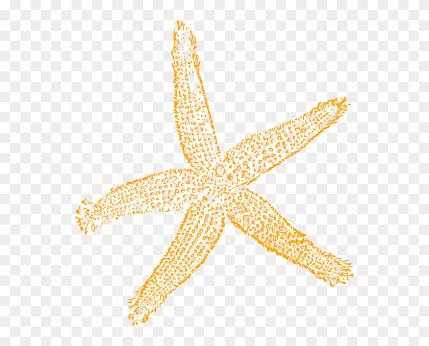 Sandy Starfish Clip Art At Clker - Fish Clip Art #468356