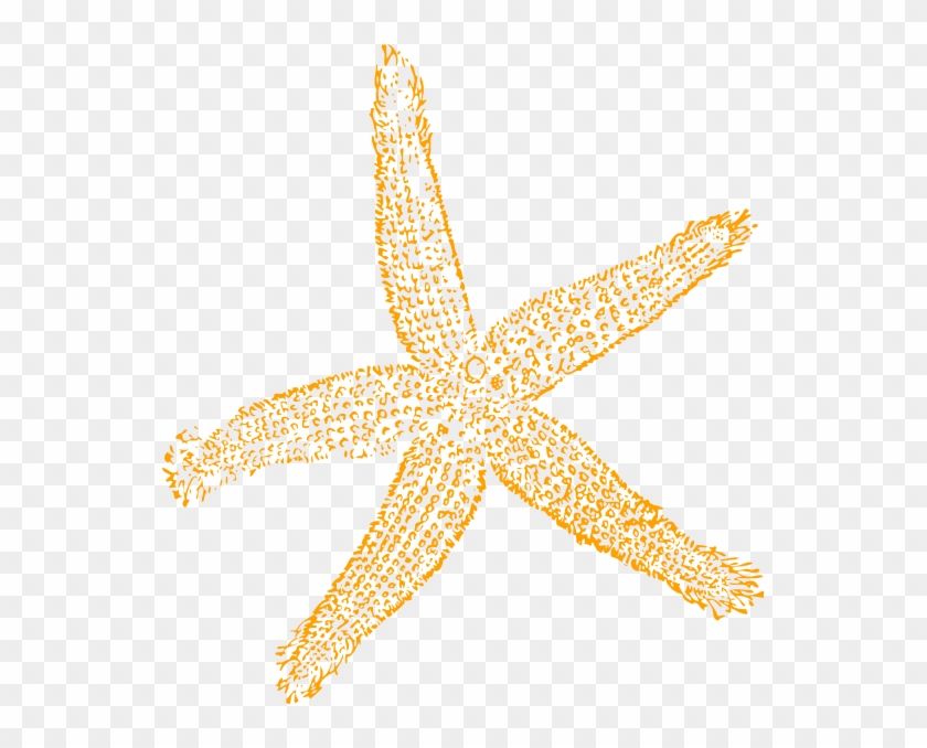 Sandy Starfish Clip Art At Clker - Fish Clip Art #468356