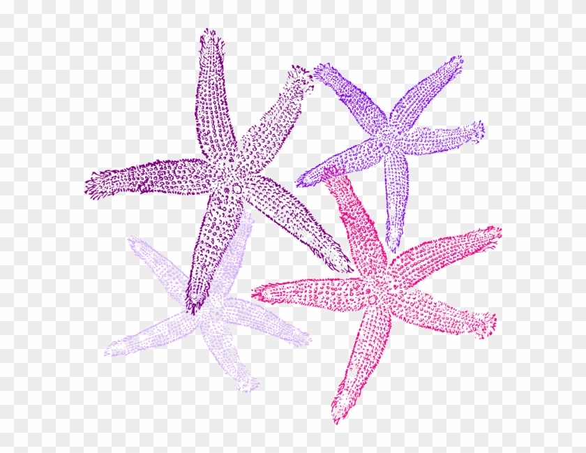 Best Starfish Prints Purplish Clip Art With Cute Starfish - Starfish Transparent #468357