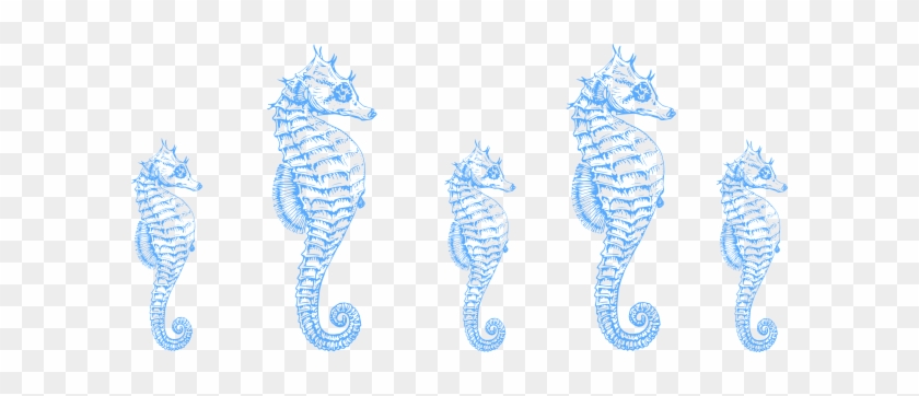 Seahorse Clipart Border - Seahorse Clipart Border #468359