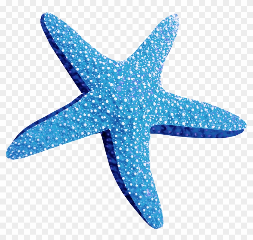 Blue Starfish Png Blue Starfish Png - Estrella De Mar .png #468365