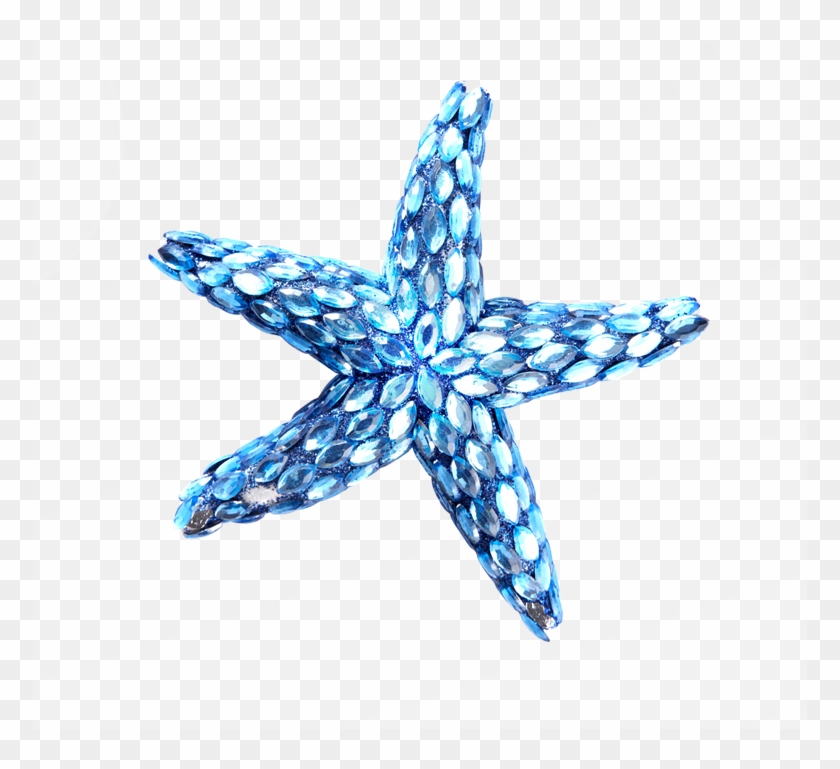 Download Png - Png Starfish Blue #468370