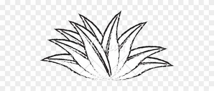 Plant Leaves Sketch - Vector Graphics #468376