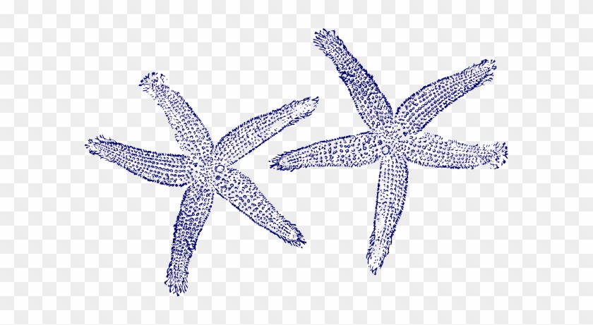 Blue Starfish Clip Art - Navy Blue Starfish Clipart #468381