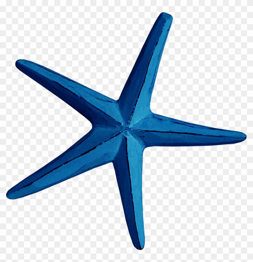 Starfish Blue Creativity Euclidean Vector - Clip Art #468387