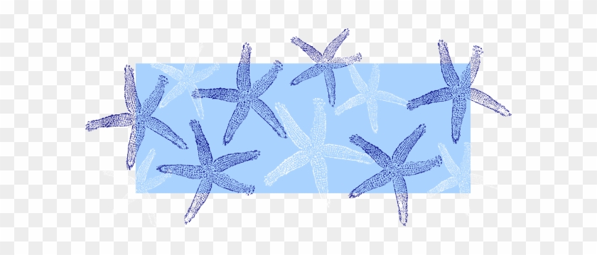 Blue Starfish Clipart #468385