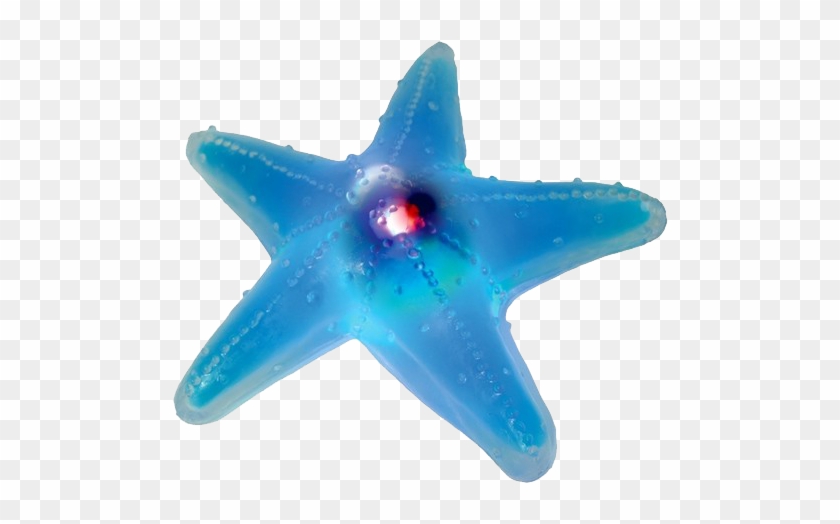Stress Balls With A Similar Squeeze - Light Up Ooey Gooey Starfish #468397