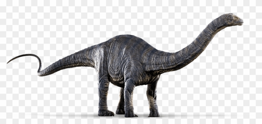 Jurassic World Png Image - Jurassic World Apatosaurus #468416