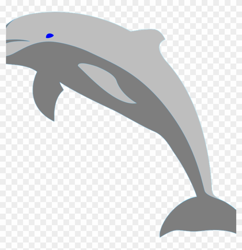 Dolphin Clipart Dolphin Fish Porpoise Sea Free Vector - Dolphin Png #468488