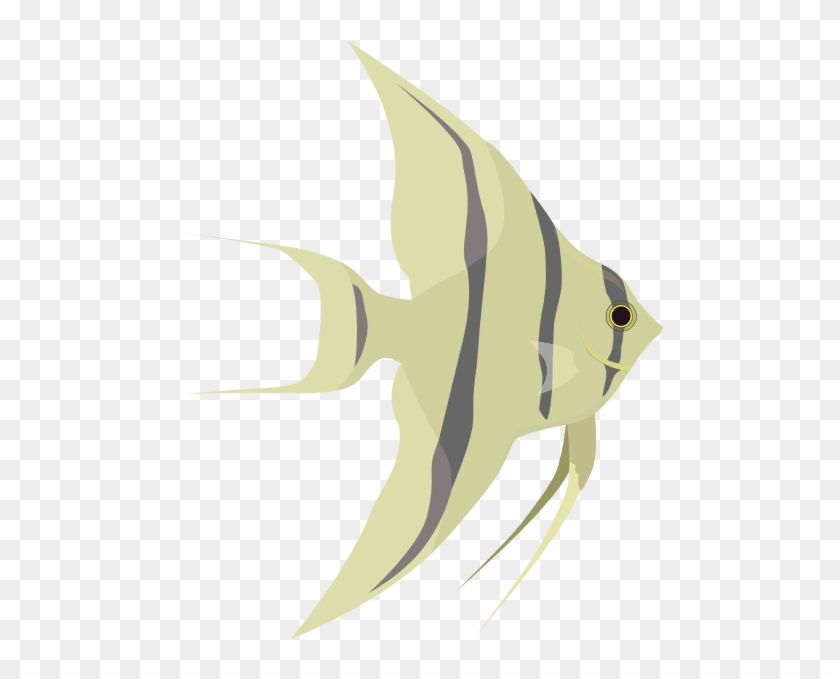 Angelfish Clipart Different Fish - Angel Fish Logo #468497