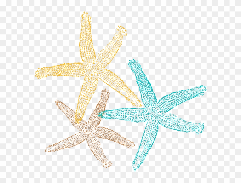 Starfish Clip Art Transparent Background #468531