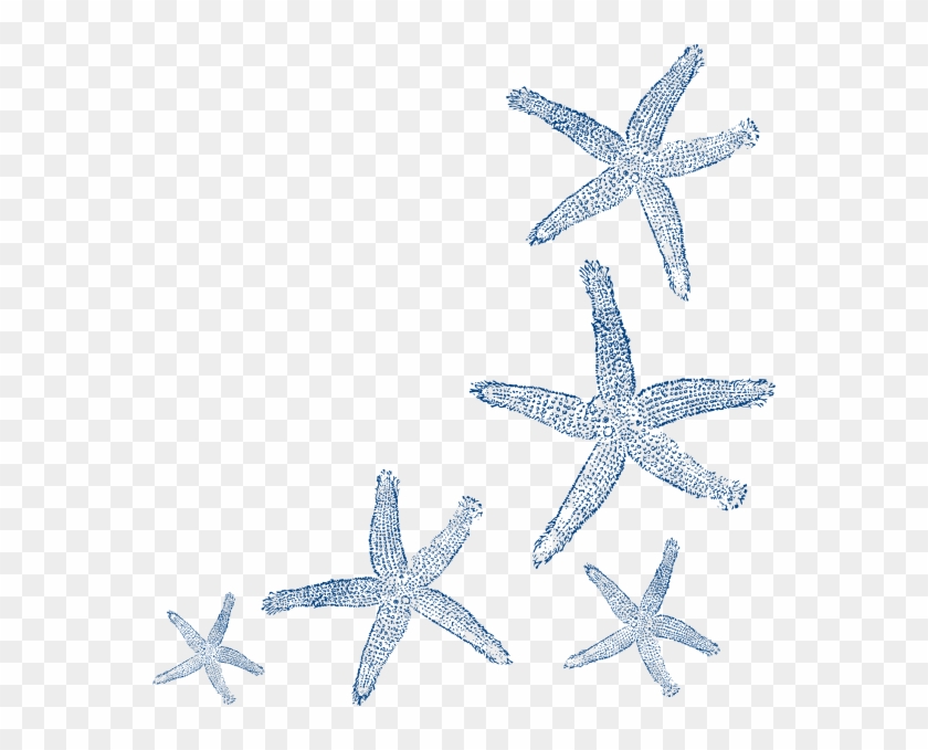 Starfish Outline - Navy Blue Starfish Clip Art #468543