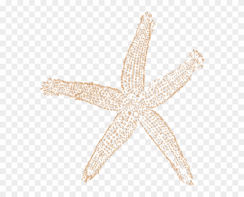 Tan Starfish Wedding Clip Art Beach Wedding Clip Art Free