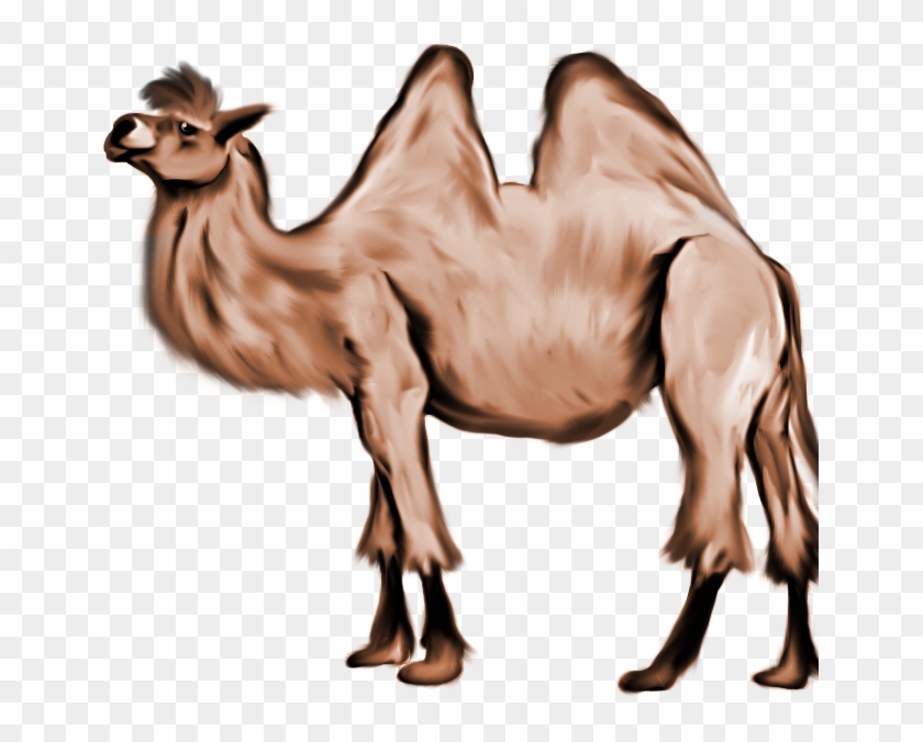 Cliff The Camel By Ukulelemoon - Bactrian Camel #468559