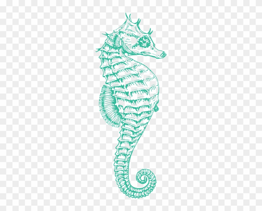 Coral Clipart Seahorse - Pink Seahorse Clipart #468589